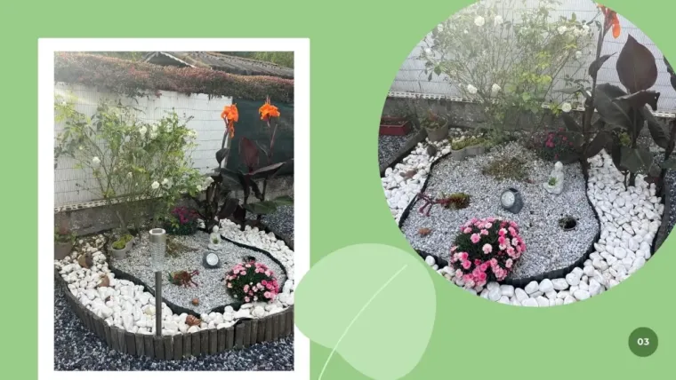 Création d'un jardin minéral à Baïeule par ALERTE NUISIBLE ENVIRONNEMENT, Saint-Omer, Alerte Nuisible Environnement