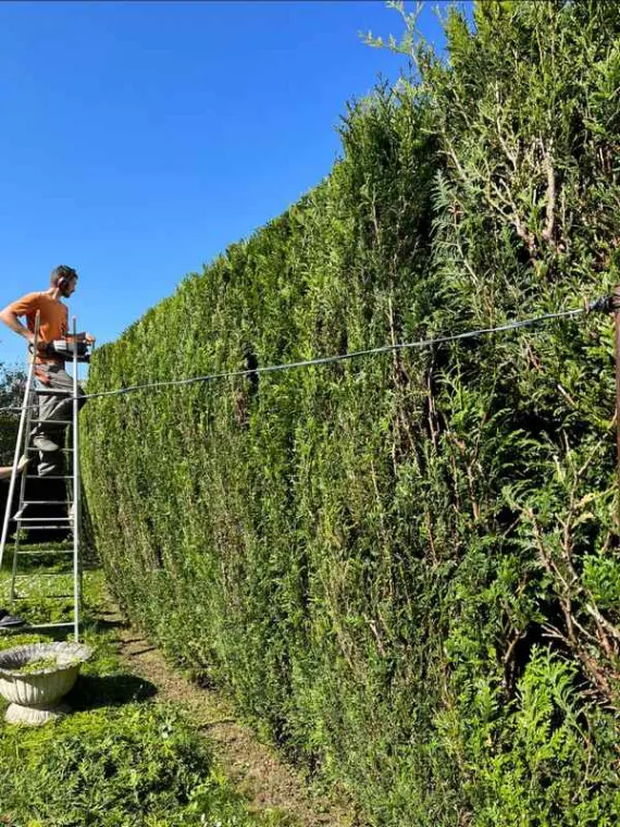 Entretien d'espace vert à Bailleul avec Alerte Nuisible Environnement, Saint-Omer, Alerte Nuisible Environnement