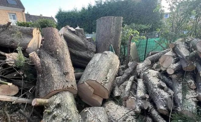 Élagage, Saint-Omer, Alerte Nuisible Environnement