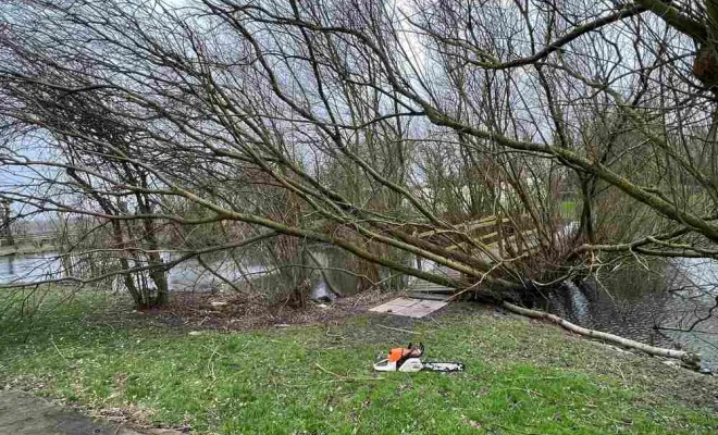 Élagage, Saint-Omer, Alerte Nuisible Environnement